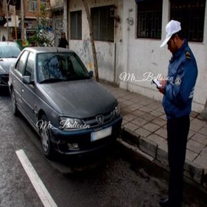 پارکبان و نگهبان-4